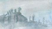 Rocks and trees in the fog