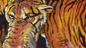 Tiger Giraffe by Pieter Paul Rubens