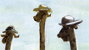 The guys with sun hats