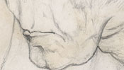 Albrecht Durer mother as giraffe (Detail 2)