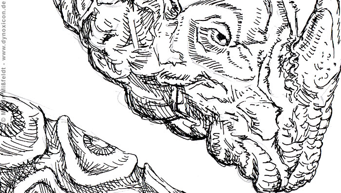 Funny rhino after a woodcut by Albrecht Dürer (Detail 1)