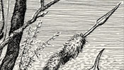 Knight, death and devil (Detail 3)