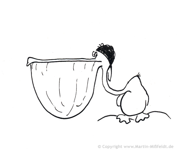 Pelican is cool