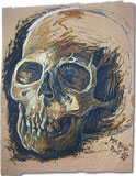 : Study with oilcolor: skull