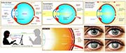 Infographics about Eyes and Seeing
