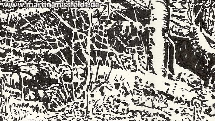 Forest in Lobetal (nature drawing) (Detail 1)