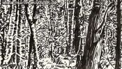 Forest near Chorin, brush pen drawing (Detail 2)