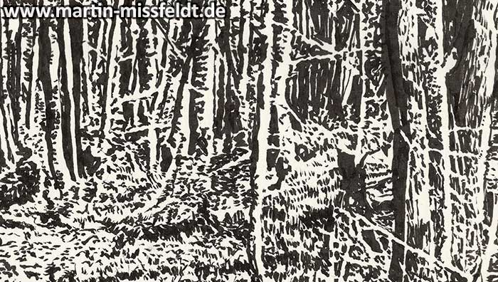 Forrest near Chorin II (ink drawing) (Detail 1)