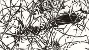 Frozen light (Detail 2)