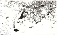 : Frozen light