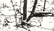 In the realm of the winter prince (Detail 2)