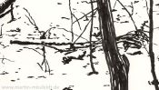 In the realm of the winter prince (Detail 3)