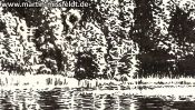 Lake Gamen near Deeplake (ink drawing) (Detail 2)