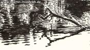 Lake Gamen near Deeplake (ink drawing) (Detail 4)