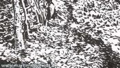 Landscape drawing: forest near Chorin monastery (Detail 5)