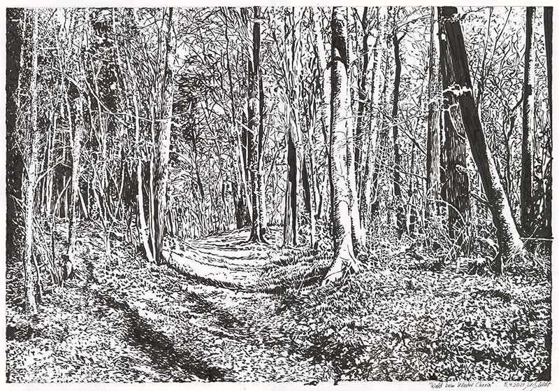 Landscape Drawing Forest Near Chorin, Pen And Ink Landscape Drawing Techniques
