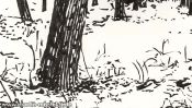 Little snow forest (Detail 1)