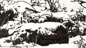 Little snow forest (Detail 3)