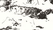 Little snow forest (Detail 4)