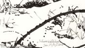 Little snow forest (Detail 5)