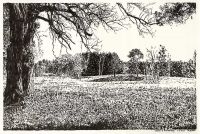 : Lobetal in Brandenburg, landscape drawing