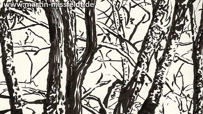 Lobetal trees (brush pen drawing) (Detail 1)