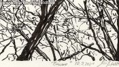 Lobetal trees (brush pen drawing) (Detail 5)