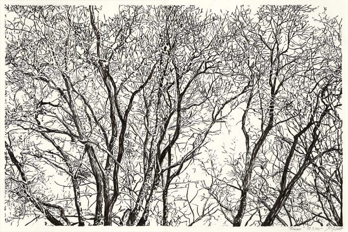 Lobetal trees (brush pen drawing)