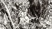 Magic forest near Chorin (forest landscape) (Detail 1)