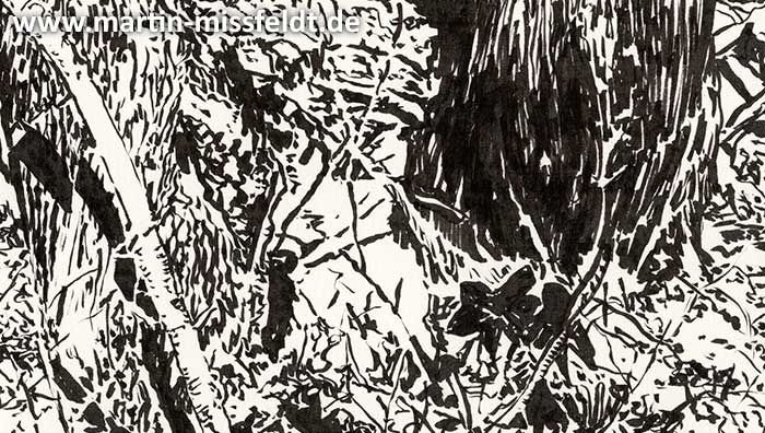 Magic forest near Chorin (forest landscape) (Detail 1)