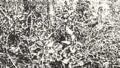 Playground at Gorinsee (Drawing) (Detail 2)