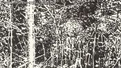 Playground at Gorinsee (Drawing) (Detail 4)