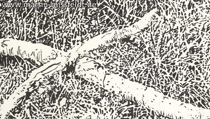 Schorfheide forest edge (Detail 1)