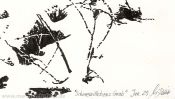 Snow Whites grave (Detail 5)
