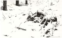 : Snow Whites grave