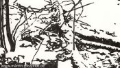 The white breath of winter (ink drawing) (Detail 2)