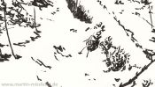 The white breath of winter (ink drawing) (Detail 3)