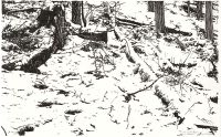 : The white breath of winter (ink drawing)