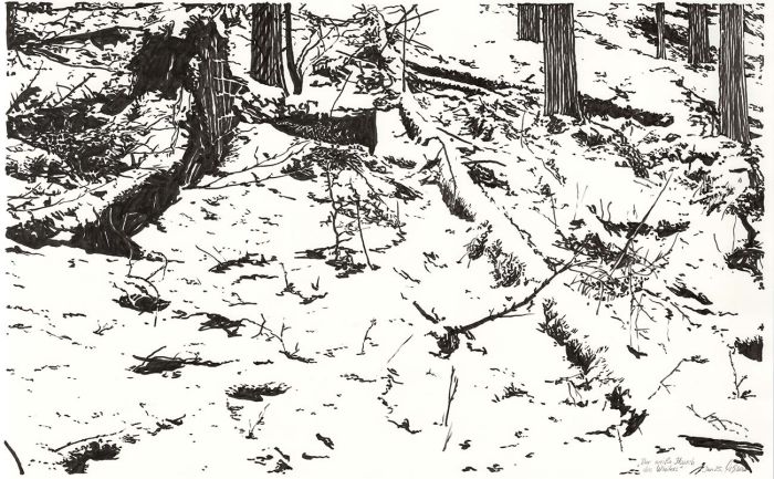 The white breath of winter (ink drawing)