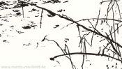 The white coat of silence (Detail 1)