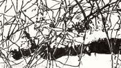 The white coat of silence (Detail 3)
