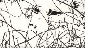 The white coat of silence (Detail 4)