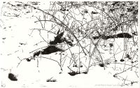 : The white coat of silence