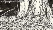 Tree in Lobetal (Brush Pen Drawing) (Detail 3)