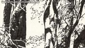 Tree in Lobetal (Brush Pen Drawing) (Detail 4)