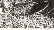 Tree in Lobetal (Brush Pen Drawing) (Detail 5)