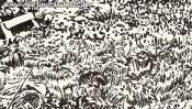 Uckermaerker country garden (drawing) (Detail 4)