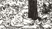 Whispering snow (winter landscape ink drawing) (Detail 1)