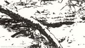 Whispering snow (winter landscape ink drawing) (Detail 2)