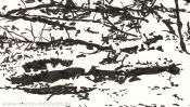 Whispering snow (winter landscape ink drawing) (Detail 4)